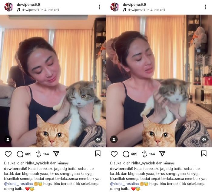 Dewi Perssik selamatkan kucing Eko Patrio.