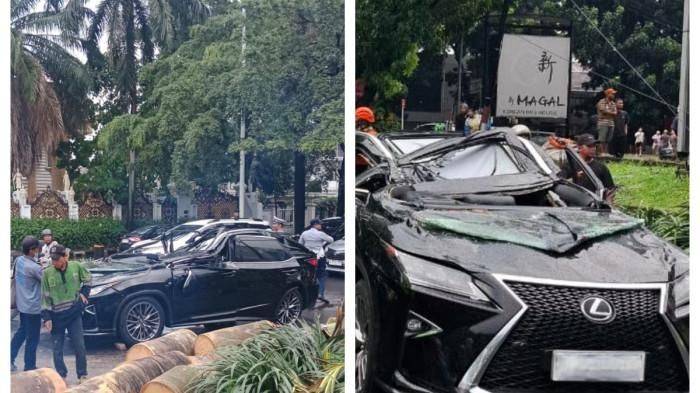 Kronologi mobil Lexus tertimpa pohon tumbang di Pondok Indah. Pengemudi berusia 50 tahun dinyatakan tewas!