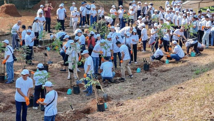 Ratusan karyawan dan manajemen Kawan Lama Group berpartisipasi dalam kegiatan Trees For Tomorrow, sebuah inisiatif pelestarian lingkungan yang melibatkan seluruh insan perusahaan untuk menanam pohon bersama.&nbsp; 