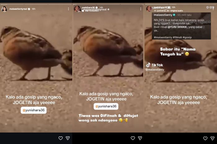 Postingan Maia Estianty