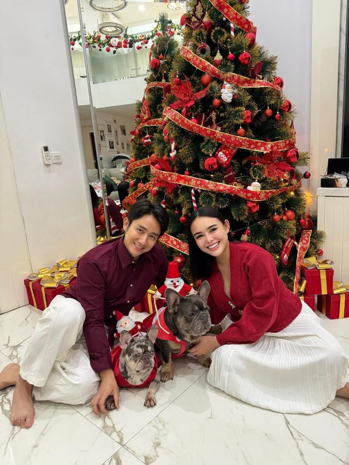 Intip tujuh potret pohon Natal para artis Indonesia, dari Amanda Manopo hingga Shandy Aulia, unik banget!