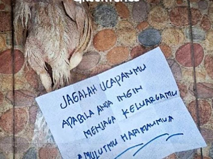 Simak profil Iqbal Damanik, aktivis Greenpeace yang diteror bangkai ayam dan surat ancaman, begini isinya!