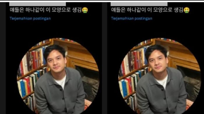 Profil Baskara Mahendra, aktor sekaligus mantan suami Sherina Munaf yang jadi bahan ledekan WN Korea hingga namanya viral di X.