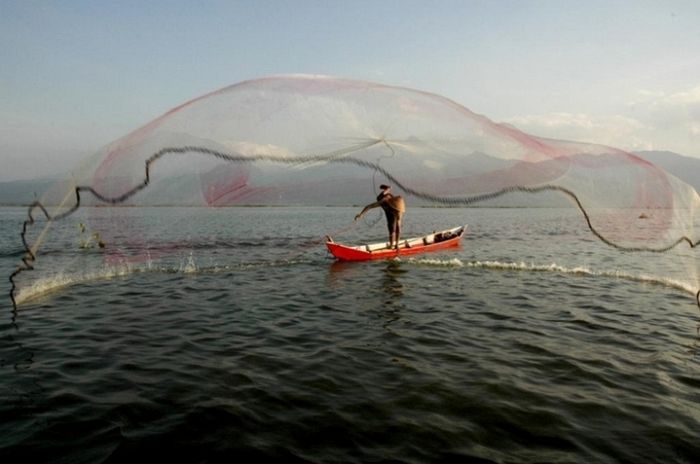 Seorang nelayan di Rawa Pening, Semarang, melemparkan jala bak balerina yang sedang menari.