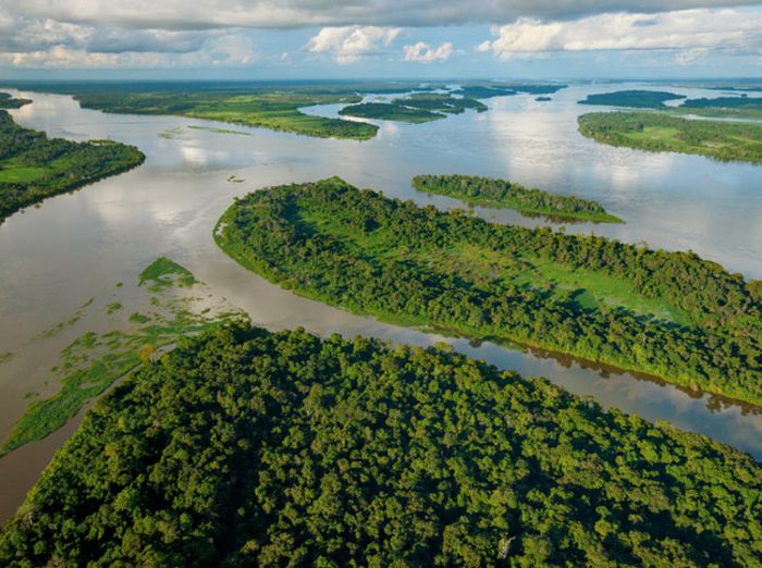 Sungai Kongo, salah satu sungai paling berbahaya di dunia.