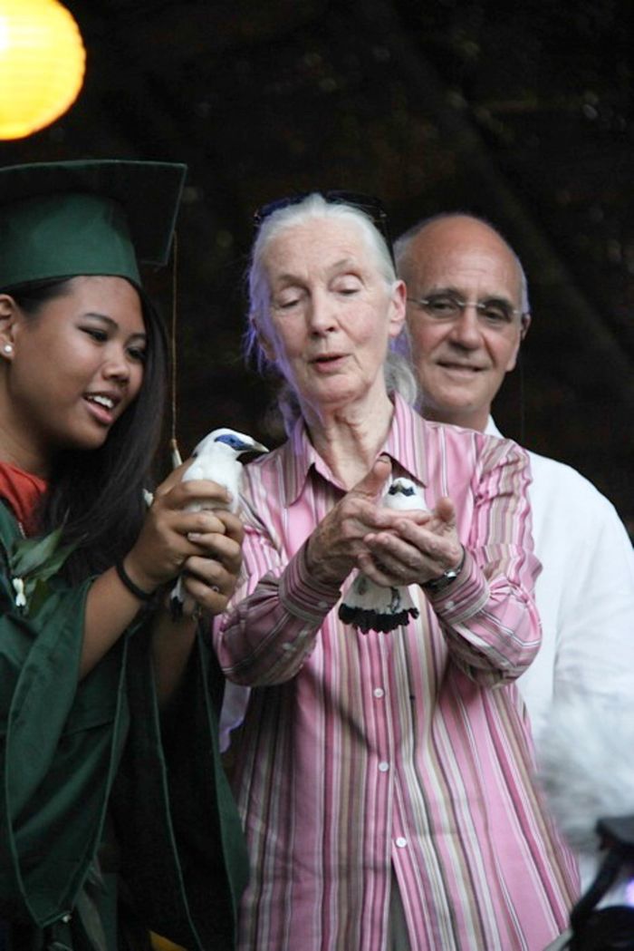 Sore 17 Juni, Jane Goodall bersama salah seorang wisudawan, Alicia Kennedy, ketika melakukan pelepas