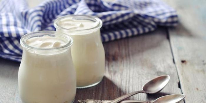 Yoghurt