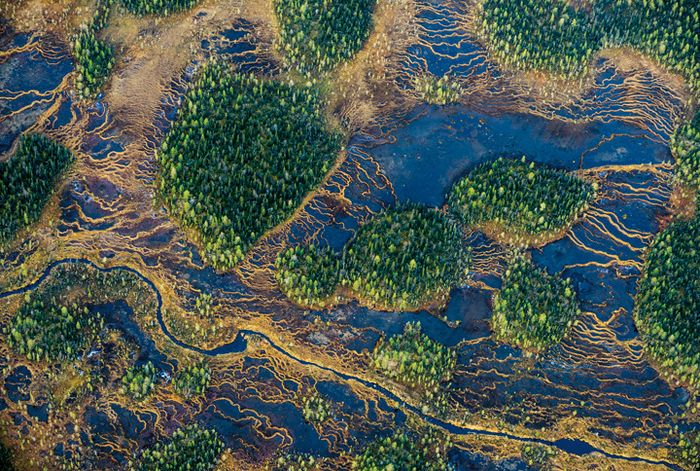 Jejak gletser bisa dilihat dari atas Taman Nasional Muddus, tempat rawa-rawa gambut terbentuk di dat