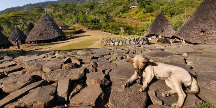Desa Wae Rebo berada di barat daya kota Ruteng, Kabupaten Manggarai, Nusa Tenggara Timur.