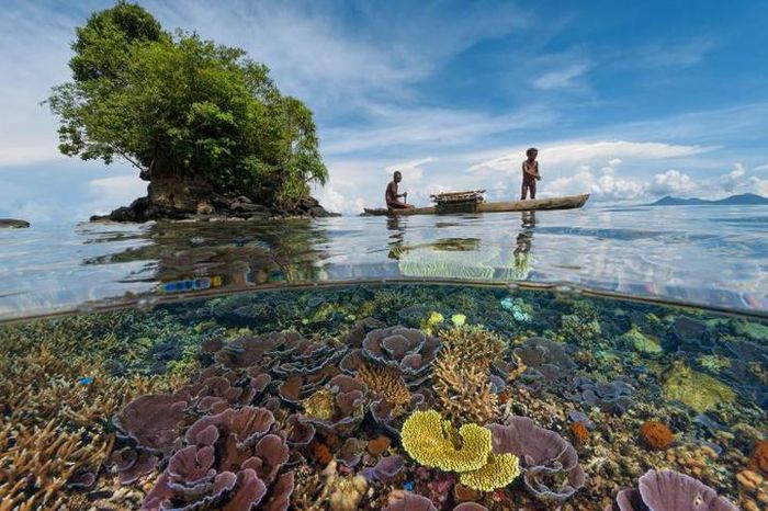 Pemanasan global telah membuat infeksi bakteri Vibrio vulnificus meluas di pesisir pantai dan menjadi lebih berbahaya.