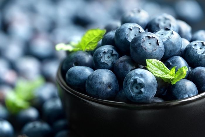 Blueberry juga merupakan sumber antioksidan yang sangat baik karena memiliki kandungan polifenol.