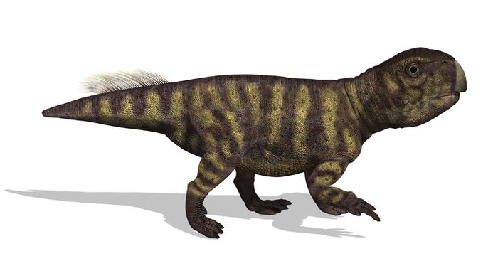 Sosok Psittacosaurus hasil rekonstruksi seniman.