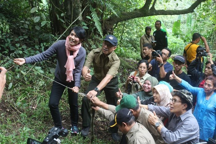 Pembukaan pintu kandang sebagai tanda dilakukannya pelepasliaran satwa.