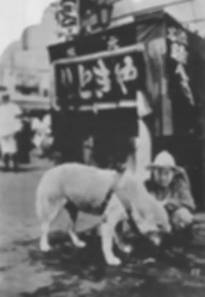 Potret kesetiaan Hachiko menunggu pemiliknya yang telah meninggal pulang di Stasiun Shibuya.
