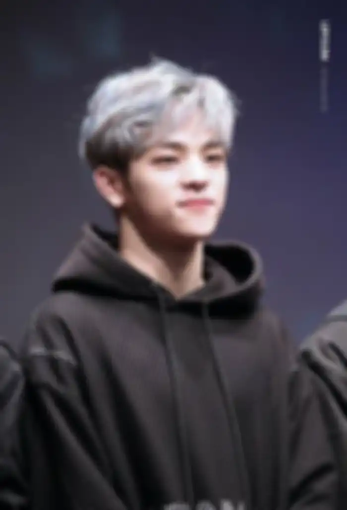Woojin Stray Kids