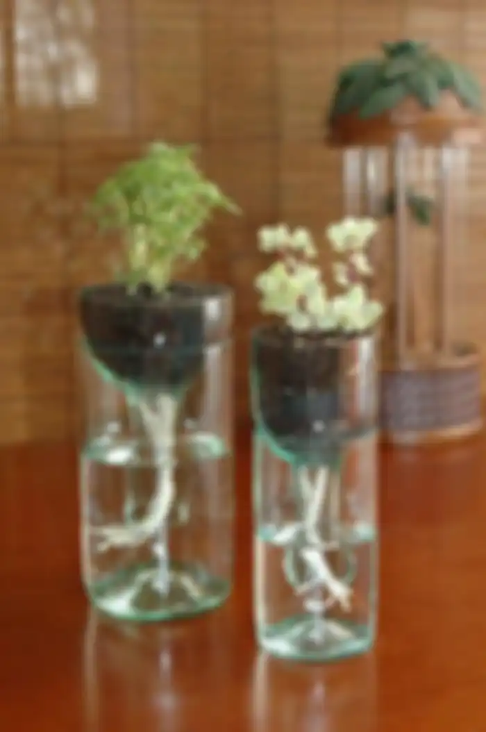 pot tanaman