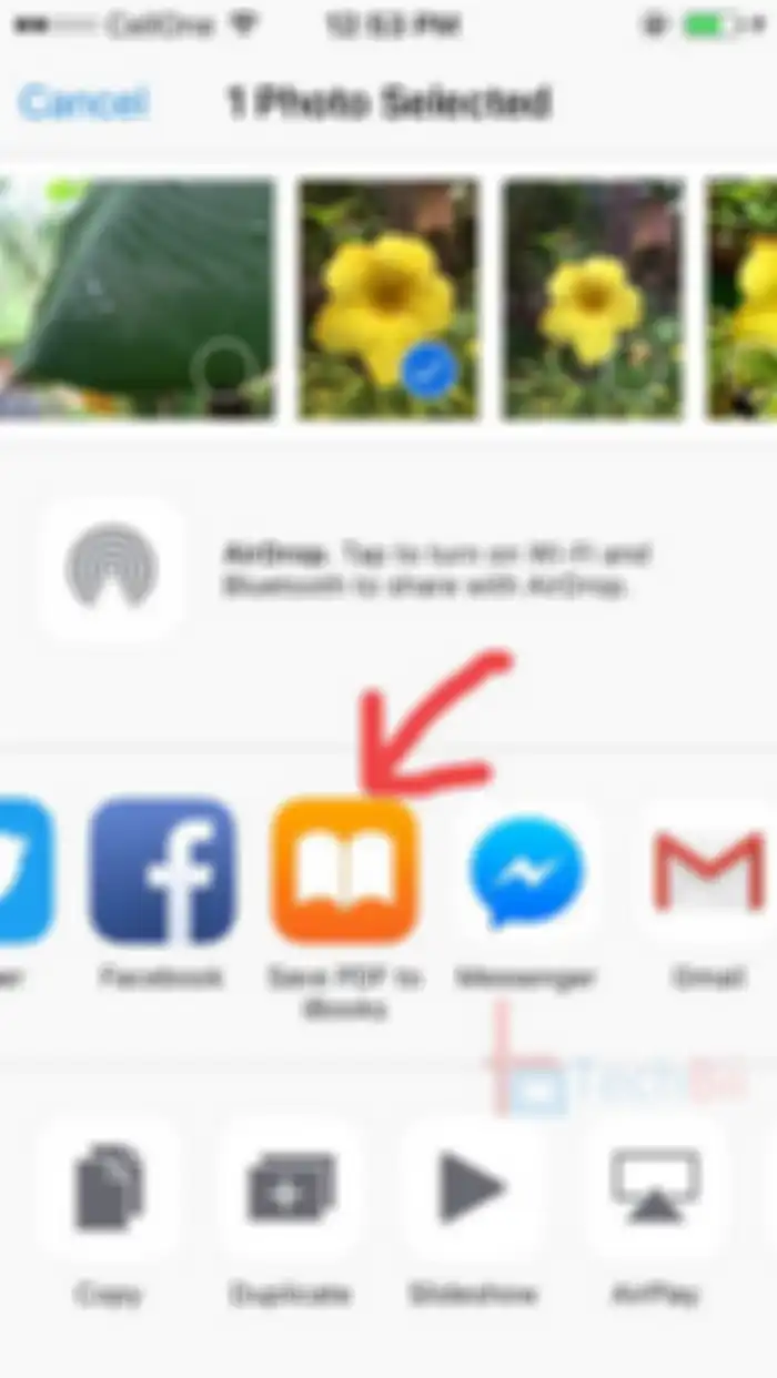 Cara Kirim Foto Ukuran Asli di WhatsApp