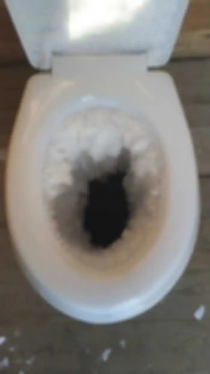 Toilet beku