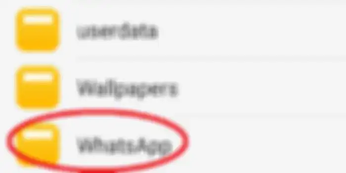 Klik folder WhtasApp