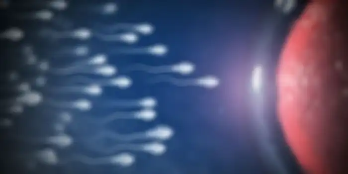 Sperma