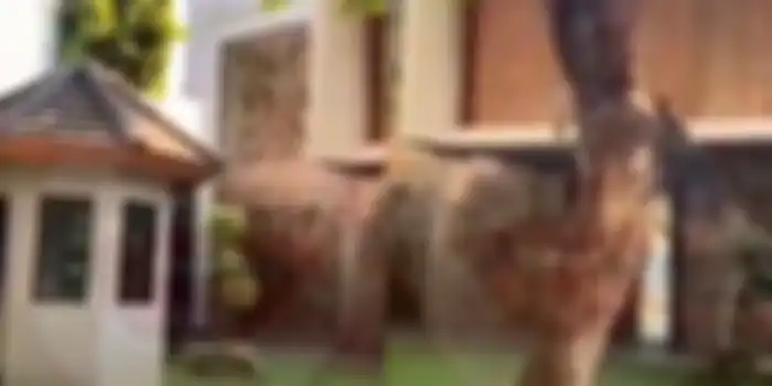 Rumah Jennifer Dunn tampak depan