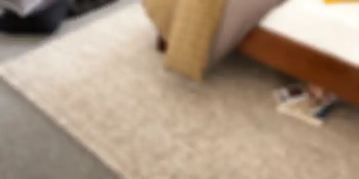 Membersihkan karpet dan sofa