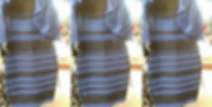 Gaun The Dress