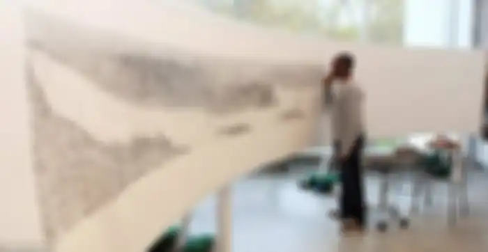 Human Camera, Stephen Wiltshire
