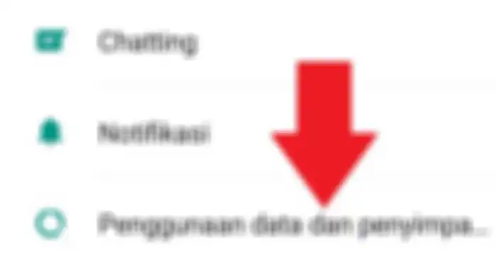Pilih menu Penggunaan data dan penyimpanan