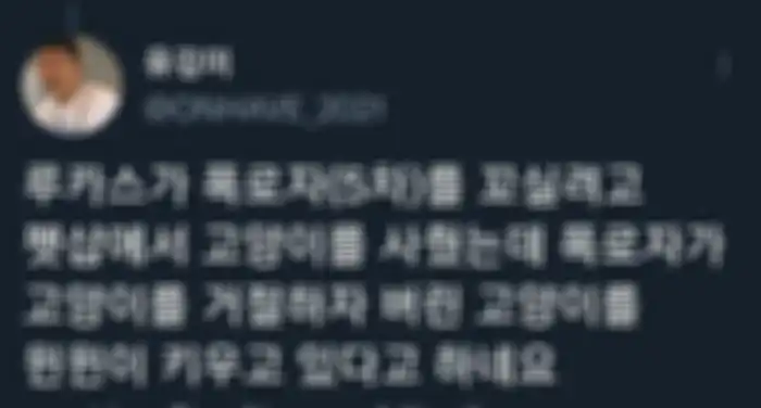 tweet LLucas meninggalkan anak kucingnya
