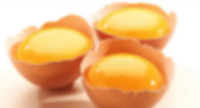 kuning telur