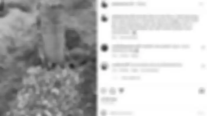 Anak pertama Abdel Achrian, yakni Keissha Aliyya Wulandari meninggal dunia di usia 22 tahun pada Senin (10/4/2023) pukul 16.00 WIB. 