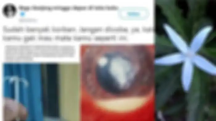 Efek samping dari bunga Kitolod