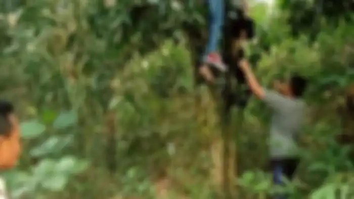Korban tewas tersangkut di pohon usai tabrakan Xpander lawan Beat.