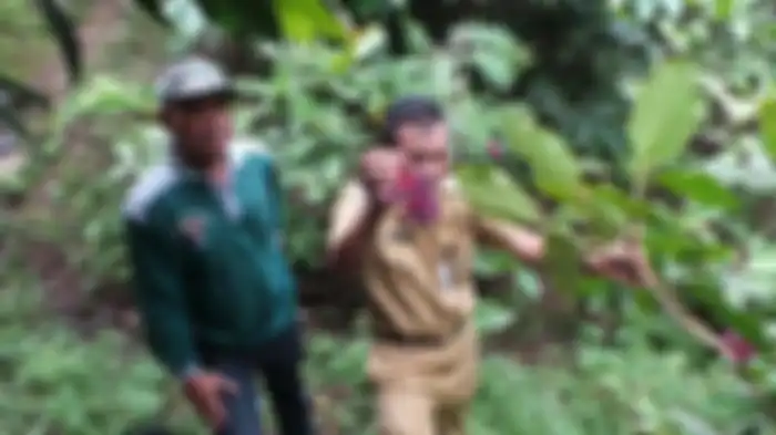 Ketua PMPH Pegunungan Muria, Muhamad Sokib Garno Sunarno (kiri) bersama Bupati Kudus Musthofa memantau hutan Pegunungan Muria Kudus, Selasa (19/7). Musthofa coba petik buah parijoto khas Gunung Muria Kudus Jateng.
