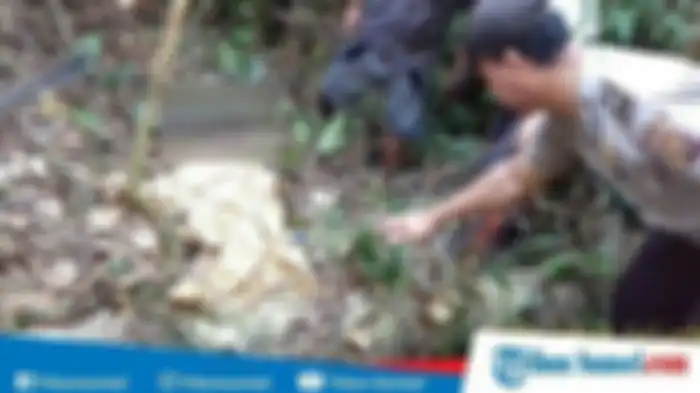 Tempat Kejadi Perkara Penemuan Jenazah Fatmi Rohanayanti di Kebun Karet Desa Kelekar, Gelumbang, Muara Enim, Sumatera Selatan 