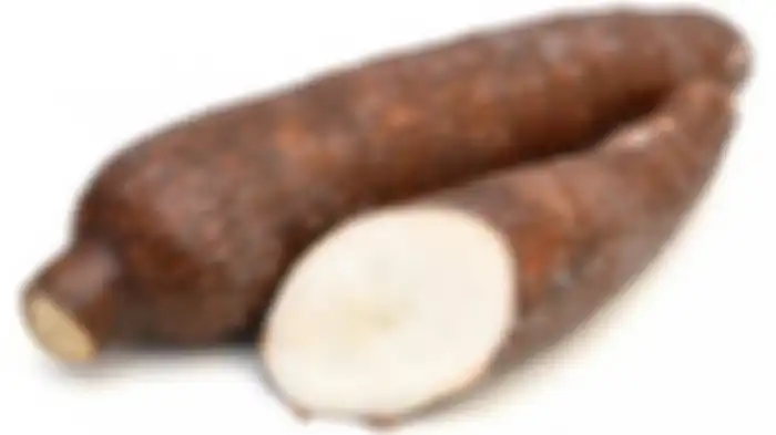 Singkong