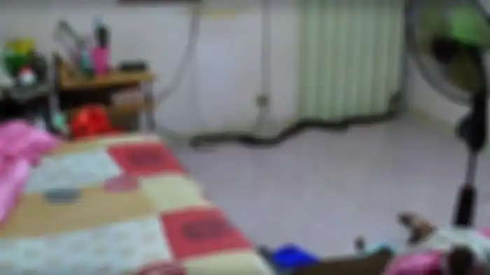 Ular piton di dalam rumah.