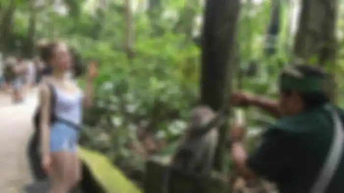 Cara membuat Monkey selfie.