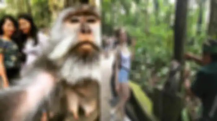 Foto selfie bersama ke di Bali viral di media sosial