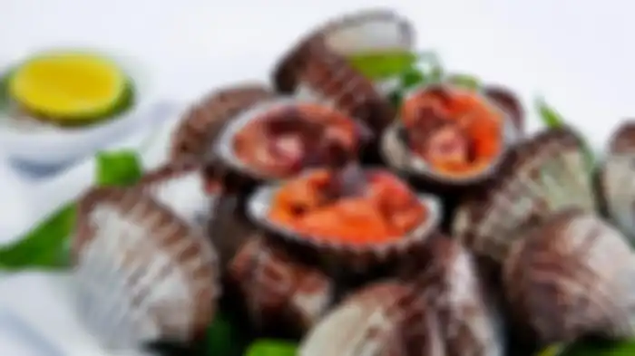 Kerang Darah