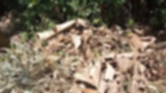 Lokasi penemuan motor bodong di Lumajang, Jawa Timur