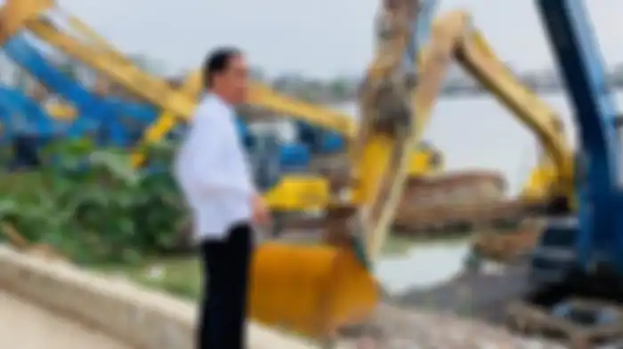 Presiden Joko Widodo meninjau Waduk Pluit