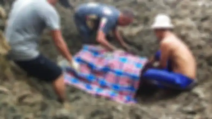 ayat Keluar Dari Dekat Pohon Pisang di Bogor