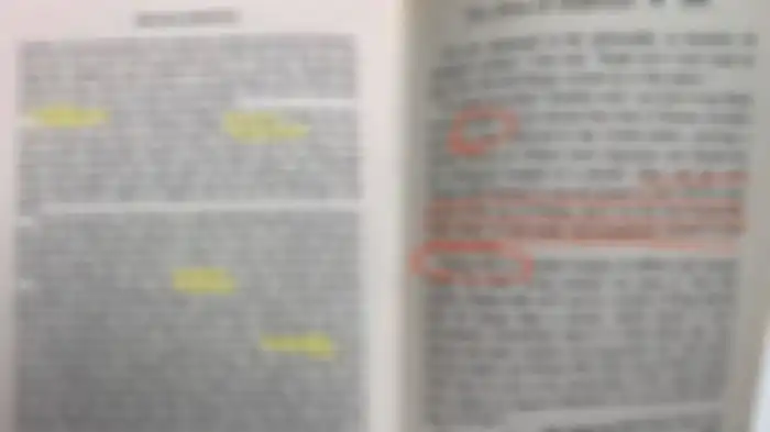 Tulisan dalam buku The Eye of the Darkness yang menggegerkan publik Twitter