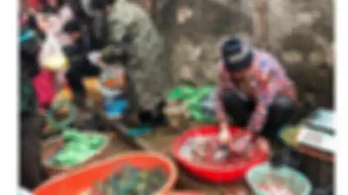 Mampu Ciptakan Kondisi yang Sempurna bagi Virus untuk Lakukan Hal-hal Berbahaya Ini, para Pakar Sangat Waswas dengan Pembukaan Kembali Pasar Hewan Wuhan