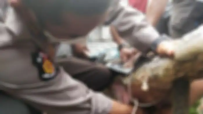 Polisi memeriksa bagian mulut buaya.