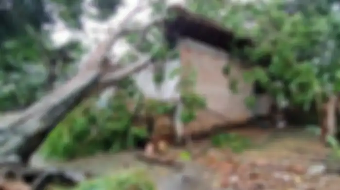 Angin puting beliung menyapu rumah warga di beberapa kampung yang ada di Kecamatan Banjar Agung dan Kecamatan Banjar Margo, Kabupaten Tulangbawang, Rabu (20/05/2020) sore. 1 Orang Meninggal Dunia Tertimpa Pohpn Jengkol Akibat Angin Puting Beliung di Tulangbawang  