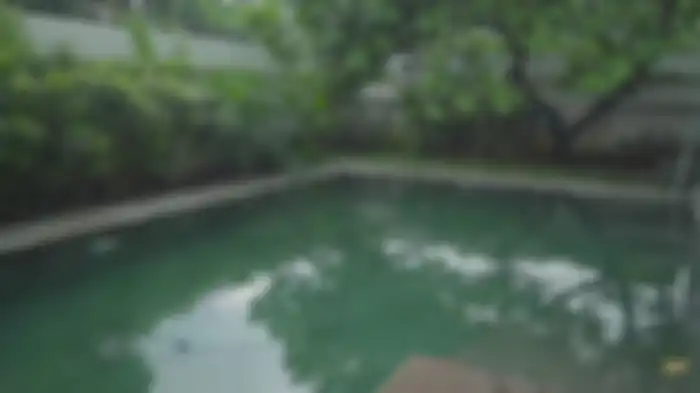 Kolam renang asri di rumah Depe