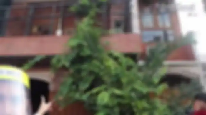 Tampak depan rumah Dorce Gamalama 